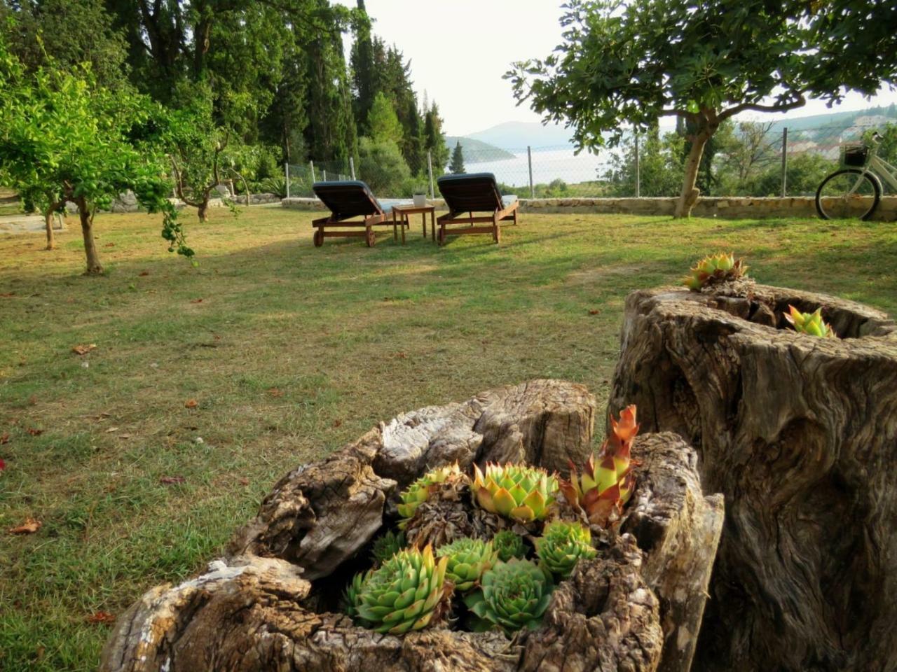 Vila Mozara Slano Buitenkant foto